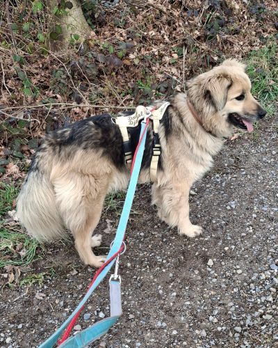 10_Kalea_ 2026-03-17