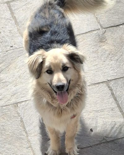 12_Kalea_ 2026-03-17