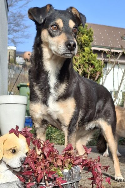 Bess_Garten_20260307_151911