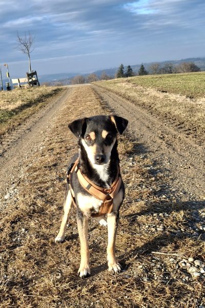 Bess_unterwegs_20260202_153407