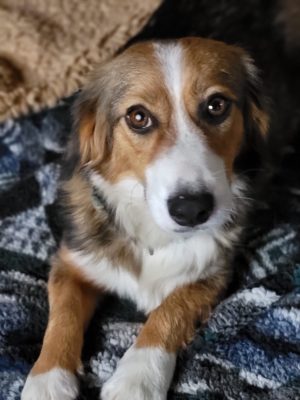 Charlie_2