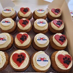 _Cupcakes _Cupcakes