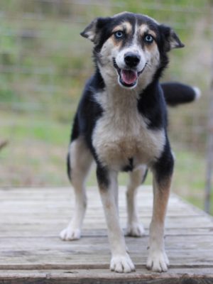 Judi_IMG_0910