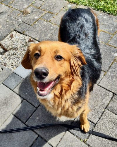 Jukina_Image 2026-04-03 at 14.15.34 (1)