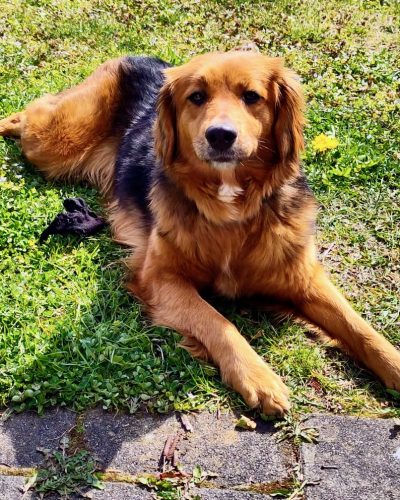 Jukina_Image 2026-04-03 at 14.15.36 (1)