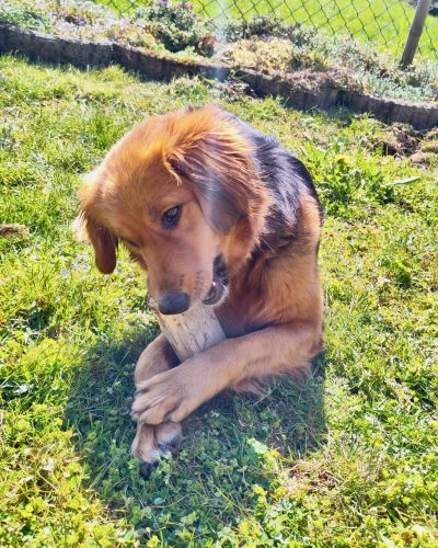 Jukina_Image 2026-04-03 at 14.15.36-2 (1)