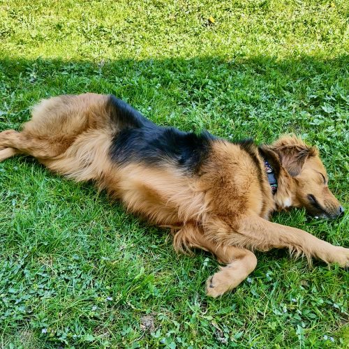 Jukina_relaxing_Image 2026-04-07 at 09.42.48 (1)