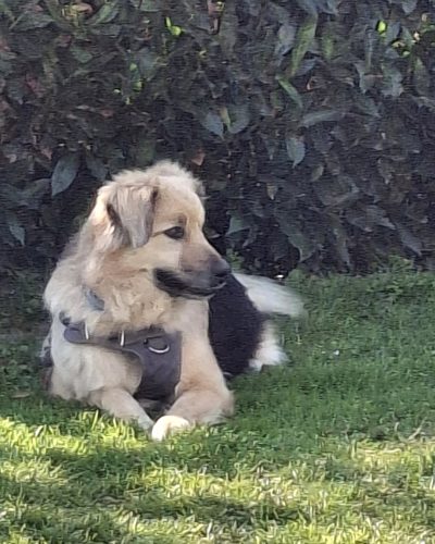 Kalea_20260322_134709