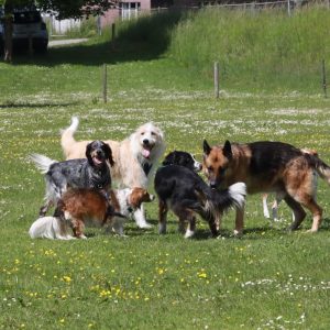 _Lalah_and_boys (1) _Lalah_and_boys (1)