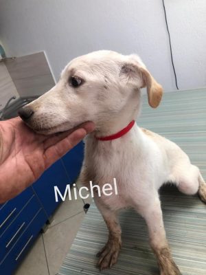 Michel