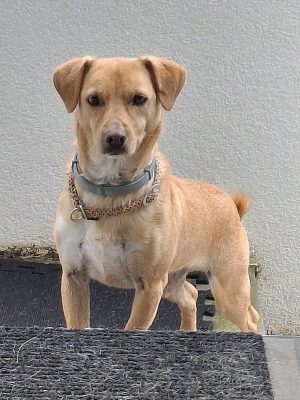 NALA_20250927_095957