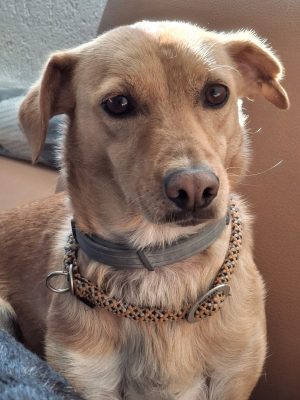 NALA_20250929_173039