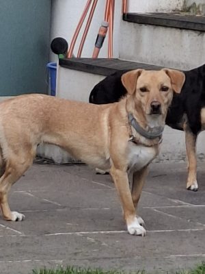 Nala_Bess_184218 Nala_Bess_184218