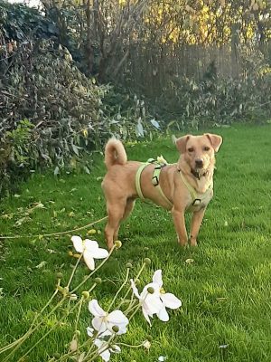Nala_Garten Nala_Garten