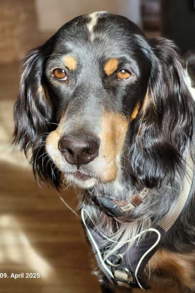 Nelson_1 Nelson_1