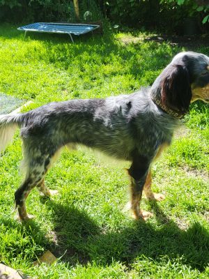 Nelson_5 Nelson_5