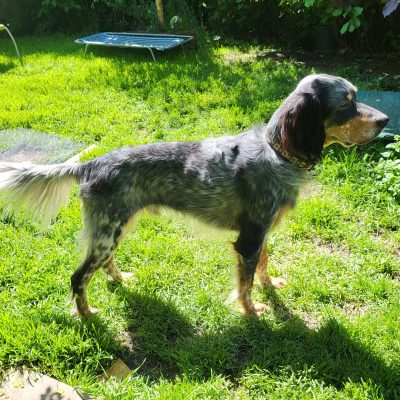 Nelson_5 Nelson_5