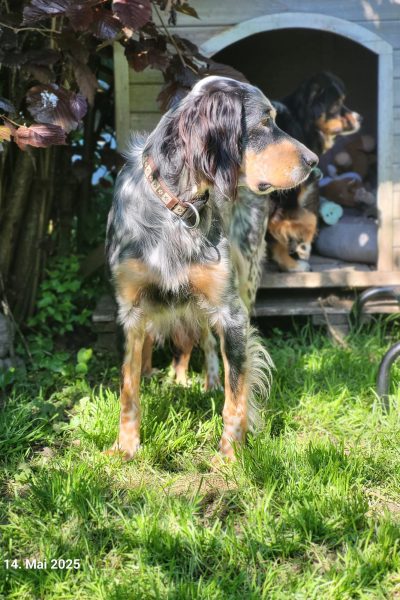 Nelson_6 Nelson_6