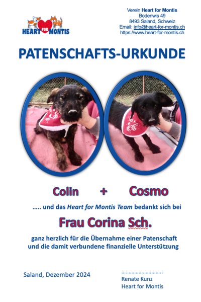 Patenschaft_Colin_Cosmo_Corin