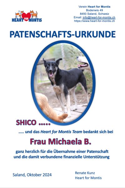 Shico_Urkunde