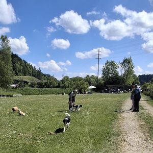 _Ubersicht_11 _Ubersicht_11