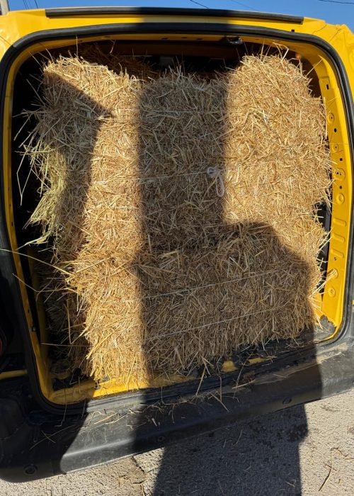 WhatsApp Image 2025-12-08 at 11.18.05