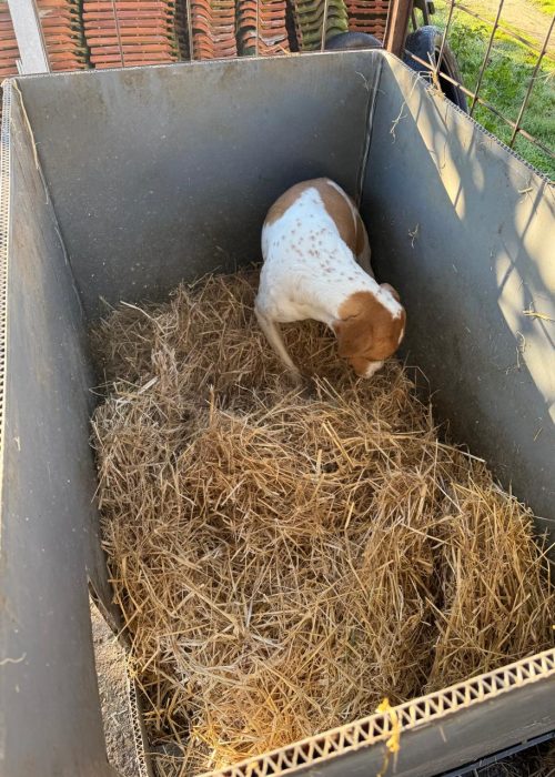 WhatsApp Image 2025-12-11 at 09.44.19