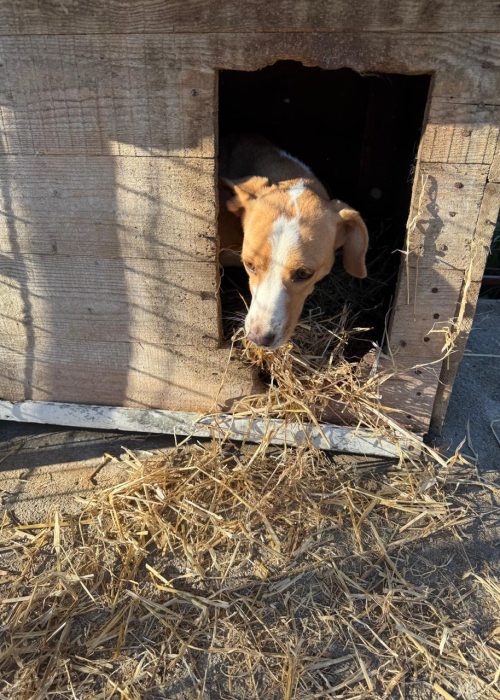 WhatsApp Image 2025-12-11 at 09.44.21-2