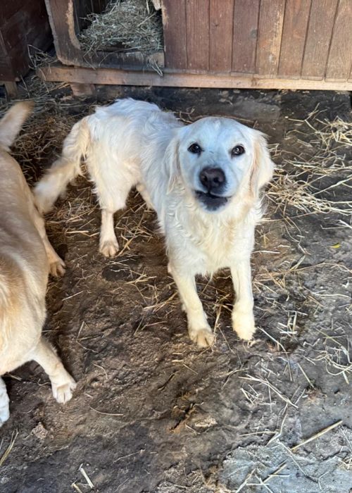 WhatsApp Image 2025-12-11 at 09.44.29